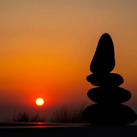 Aronia Glow בית נופש