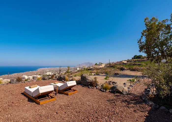 Aronia Glow إيميروفيغلي